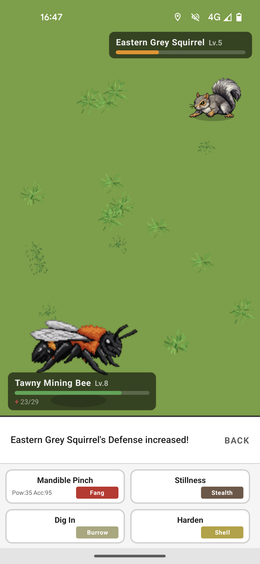 An Animalis battle: an Eastern Grey Squirrel faces a Tawny Mining Bee, with the team's moves listed below